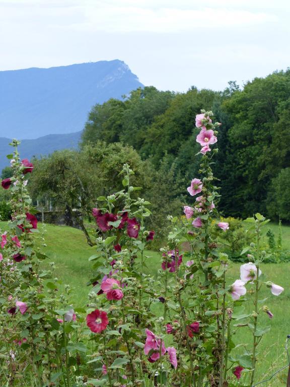 Au Coeur De La Campagne - Gite Non Loins D'Annecy- A 17 Min D'Annecy - Tout Pret D'Aix Les Bains Saint-Girod Екстер'єр фото